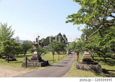 和気神社 参道（岡山県 和気町） 126504945