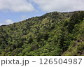 春の山　新緑 126504987