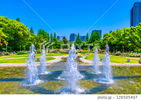 靱公園の噴水とバラ園 靱公園の噴水とバラ園 126505407