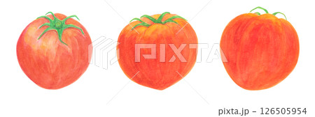 トマトの水彩アナログイラスト素材 トマトの水彩アナログイラスト素材 126505954