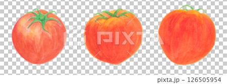 トマトの水彩アナログイラスト素材 トマトの水彩アナログイラスト素材 126505954
