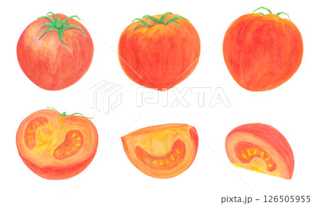 丸ごとトマトとカットしたトマトの水彩アナログイラスト素材 126505955