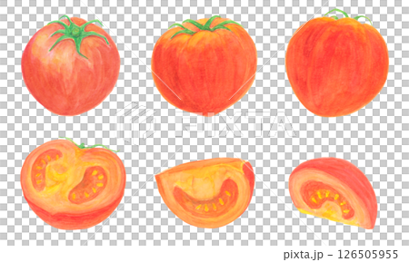 整個西紅柿和切開的西紅柿的水彩模擬插畫素材 126505955