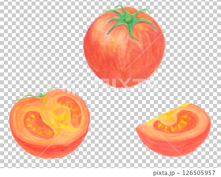Watercolor analog illustration material of whole tomatoes and cut tomatoes 126505957
