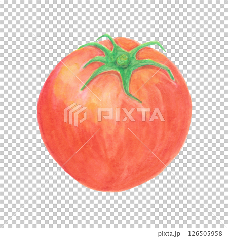 トマトの水彩アナログイラスト素材 126505958
