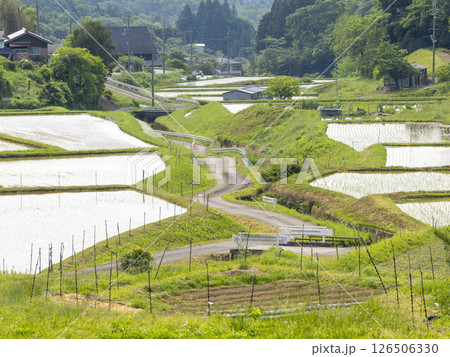 田植えが終わった棚田の風景 126506330