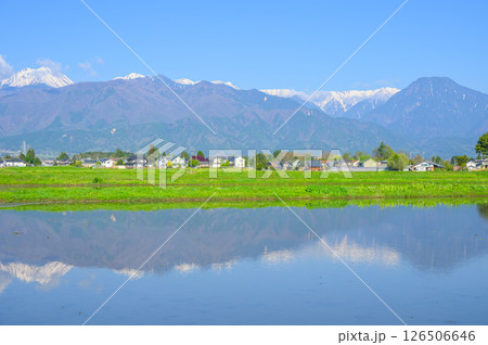 春の安曇野【移住イメージ】 春の安曇野【移住イメージ】 126506646