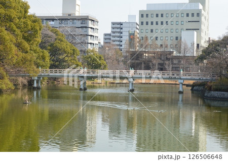 河底池（天王寺公園／大阪市天王寺区茶臼山町） 126506648