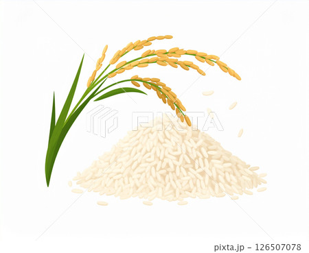 黄色く色づいた稲穂と新米 126507078