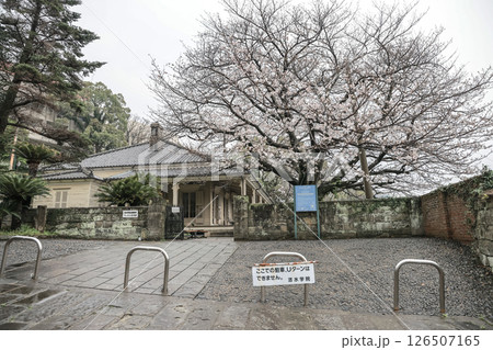 March 28 2025 Traditional House Surrounded by Nature and Blooming Cherry Blossom March 28 2025 Traditional House Surrounded by Nature and Blooming Cherry Blossom 126507165