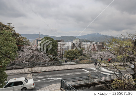 March 28 2025 Urban Cherry Blossom Park with Scenic Mountain View 126507180