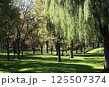 北海道大学キャンパス、中央ローン 126507374