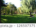 北海道大学キャンパス、中央ローン 126507375