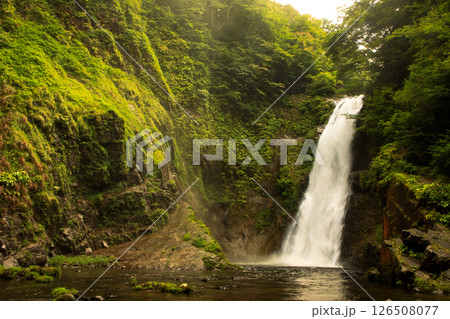 宮城県　秋保大滝の紅葉 126508077