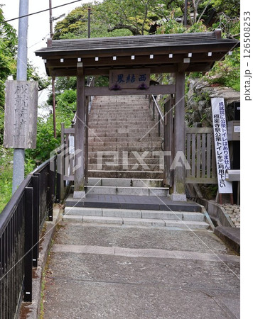 タイワンリスがいる成就院 西結界(神奈川県鎌倉市極楽寺1丁目) タイワンリスがいる成就院 西結界(神奈川県鎌倉市極楽寺1丁目) 126508253