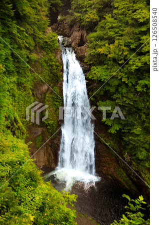 ハワイの休日　ハワイ島  アカカ滝州立公園 126508540