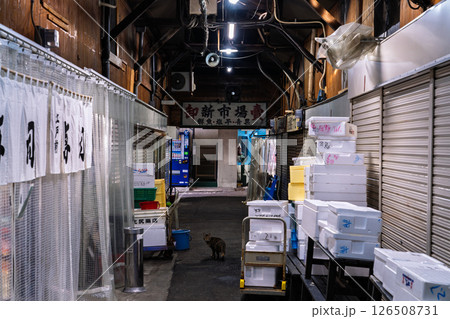 《大阪府》鶴橋商店街 《大阪府》鶴橋商店街 126508731