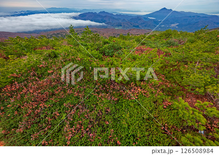 安達太良山・船明神山の紅葉と磐梯山の眺め 126508984