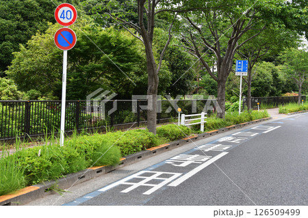 自転車専用道路 126509499