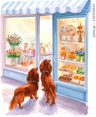 ダックスフンド 126509933