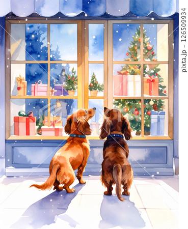 ダックスフンド 126509934