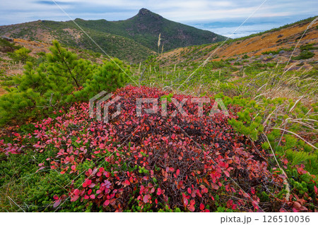 船明神山稜線の紅葉と安達太良山山頂の岩峰 126510036