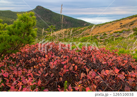 船明神山稜線の紅葉と安達太良山山頂の岩峰 船明神山稜線の紅葉と安達太良山山頂の岩峰 126510038