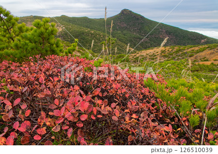 船明神山稜線の紅葉と安達太良山山頂の岩峰 126510039