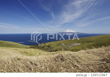 礼文島からの利尻富士 礼文島からの利尻富士 126511067