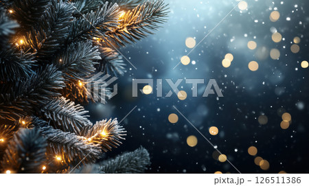Frosted Christmas Tree Branches with Golden Lights 126511386
