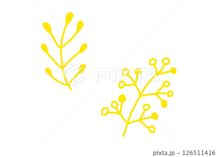 植物の手書き北欧風シンプルベクターイラスト  126511416