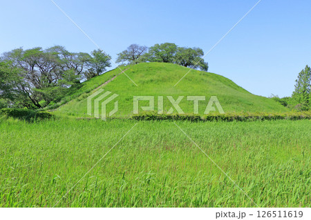 さきたま古墳群　丸墓山古墳 126511619