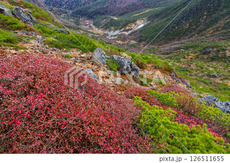 安達太良山・鉄山の紅葉とくろがね小屋 126511655