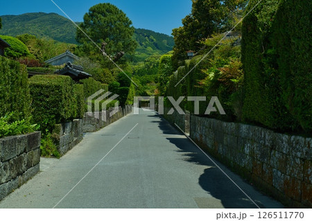 知覧武家屋敷 知覧武家屋敷 126511770