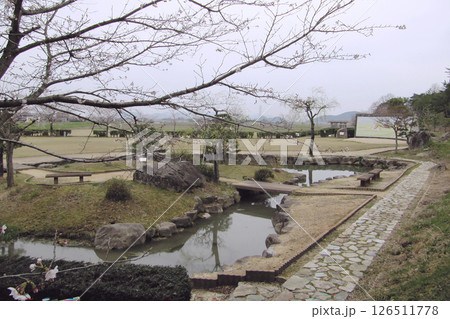 滋賀県:万葉の森船岡山公園【蒲生野】池と広場/東近江市 滋賀県:万葉の森船岡山公園【蒲生野】池と広場/東近江市 126511778
