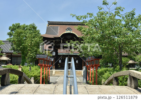 初夏の六孫王神社　唐門へつづく参道(京都市南区) 126511879