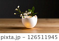 A delicate eggshell vase holds white flowers and leaves, glowing softly on a wooden table against a dark background. 126511945