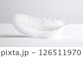 A single white feather on a white background, looking soft and light. 126511970