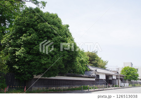 明石城・織田家長屋門・武家屋敷跡 明石城・織田家長屋門・武家屋敷跡 126513038