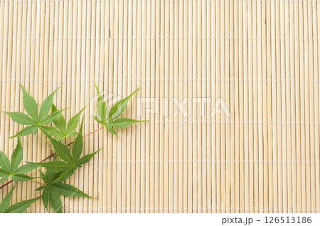 青もみじとすだれ 青もみじとすだれ 126513186