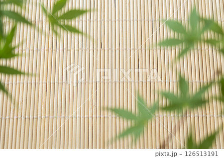 青もみじとすだれ 126513191