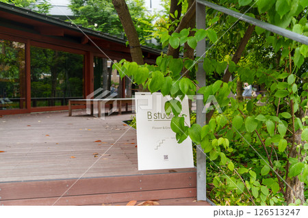 カフェのアプローチ カフェのアプローチ 126513247