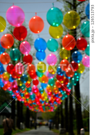 カラフルな風船 となみチューリップフェア カラフルな風船 となみチューリップフェア 126513793