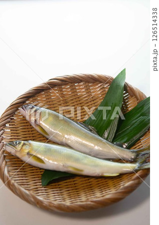 鮎 鮎 126514338