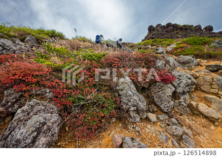 紅葉の安達太良山・鉄山稜線を行く登山者 紅葉の安達太良山・鉄山稜線を行く登山者 126514898