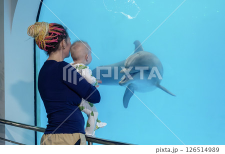 Mother and baby interact with a dolphin through a large aquarium window at a marine exhibit on a sunny day 126514989