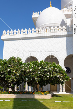 View of Sheikh Zayed Grand Mosque in Abu Dhabi with blooming green trees. Vertical photo. High quality photo 126515770