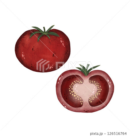 Watercolor red tomato illustration isolated on white background, Hand-drawn fresh whole and a half tomato harvest watercolor illustration, Vegetarian organic food art, Painted raw and vegan cooking 126516764