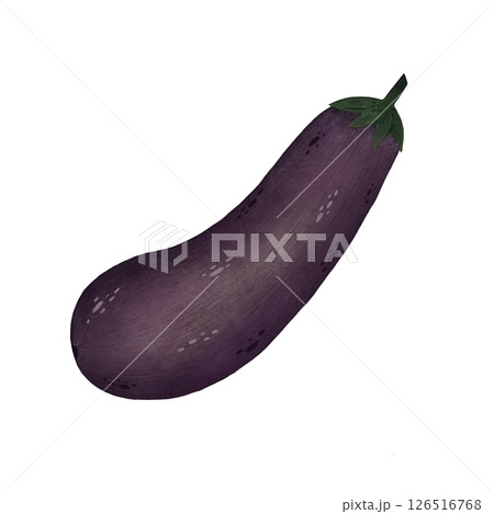 Watercolor eggplant illustration isolated on white background, Hand-drawn fresh eggplant harvest watercolor illustration, Vegetarian organic food art, Painted raw and vegan cooking ingredients 126516768