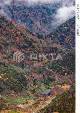 安達太良山・馬ノ背から雲湧く紅葉の山肌とくろがね小屋 安達太良山・馬ノ背から雲湧く紅葉の山肌とくろがね小屋 126517170